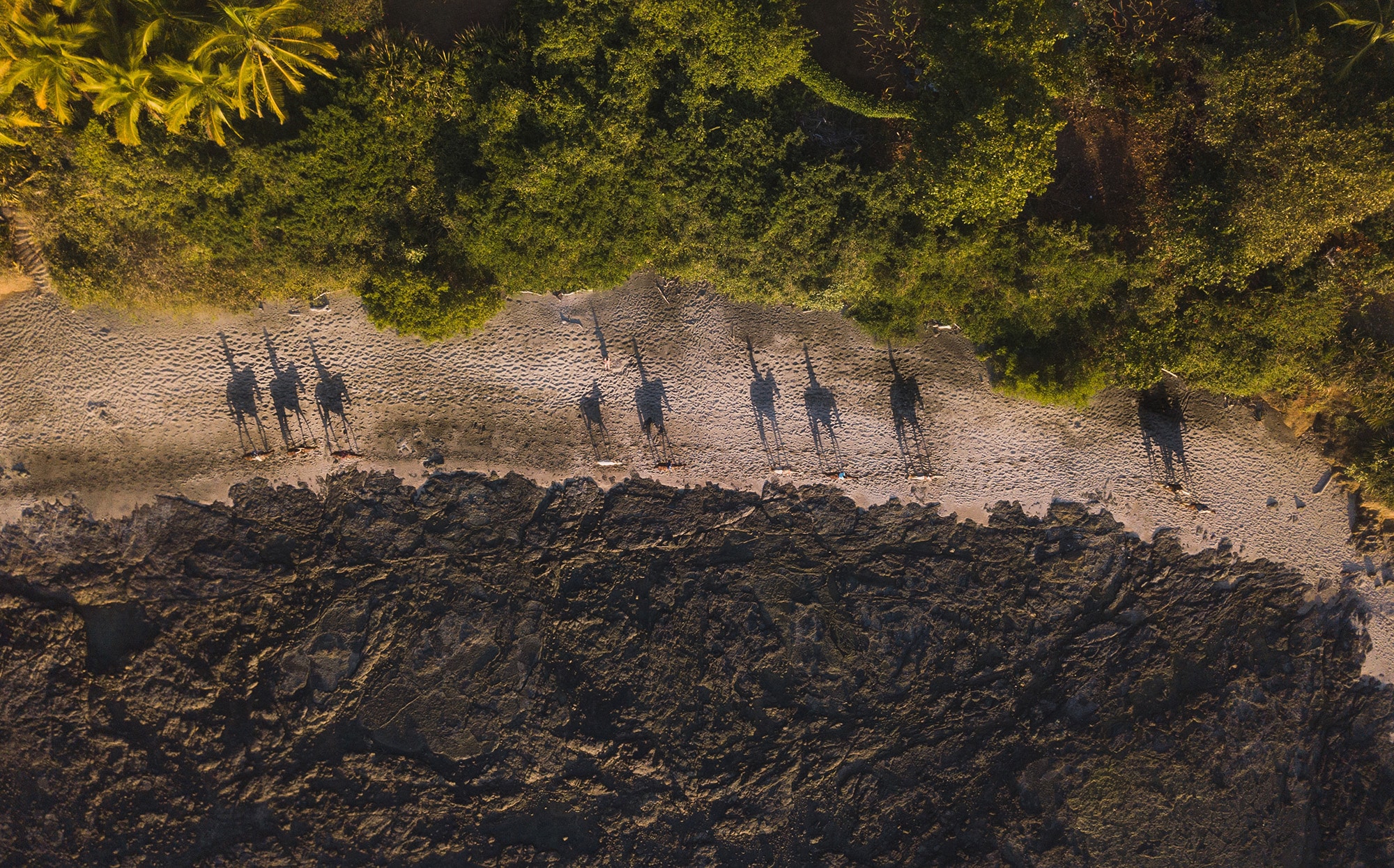 horseback riding in nosara