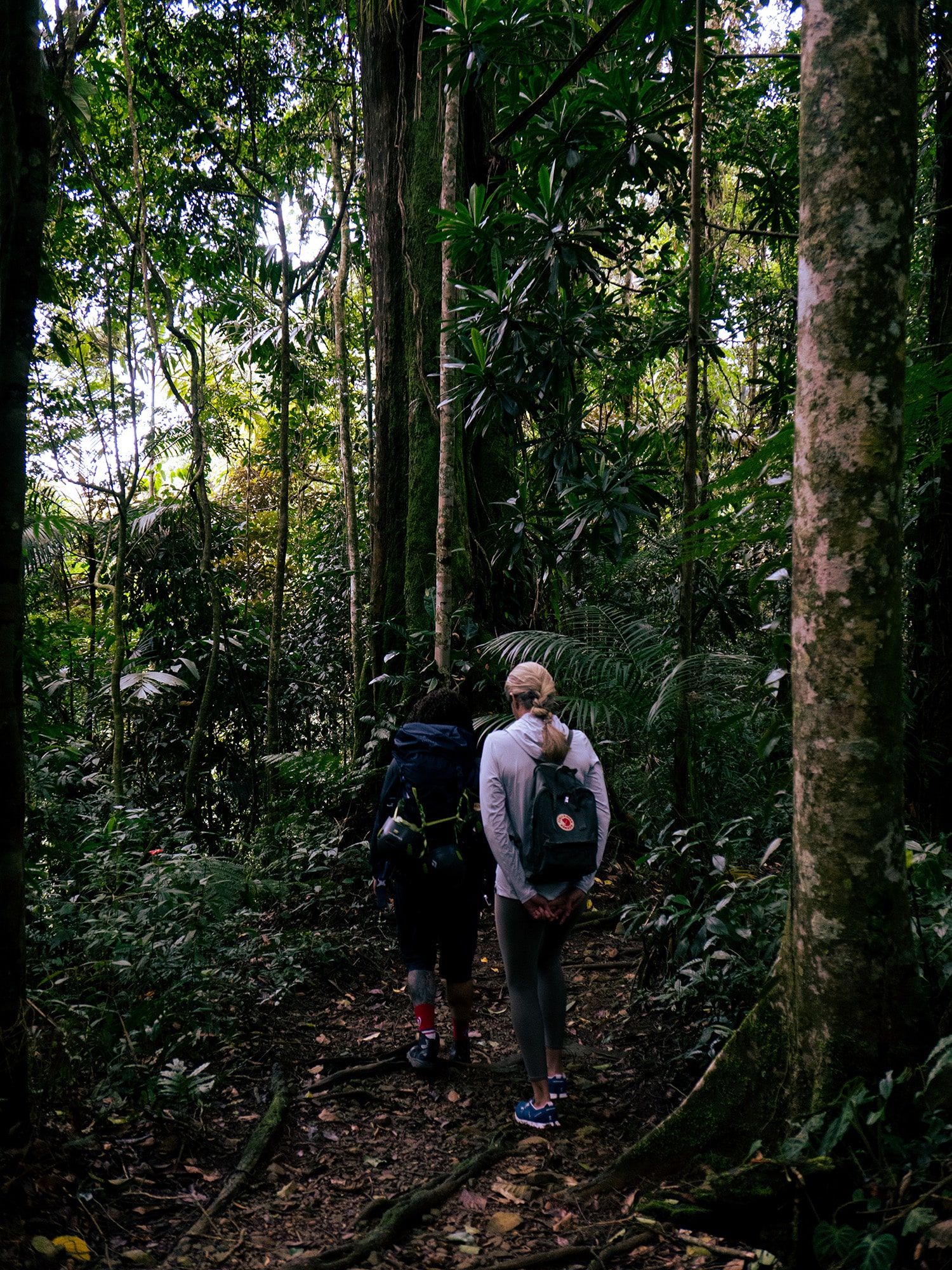 hiking in the jungle of nosara