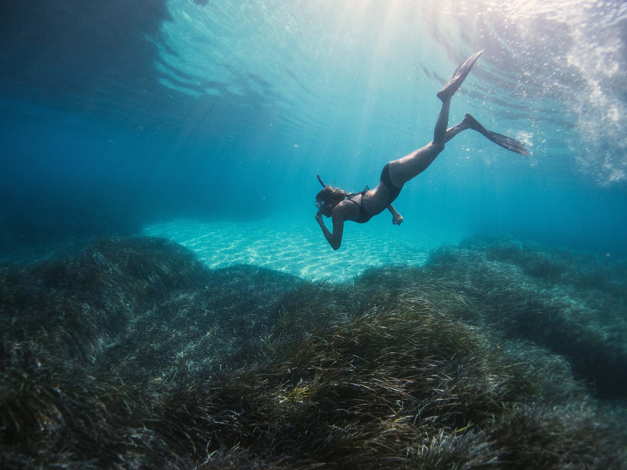 snorkeling in nosara